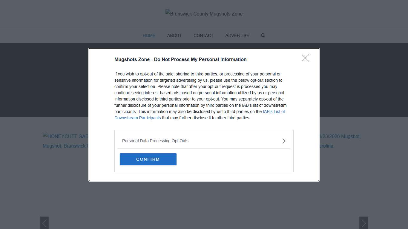 Brunswick County Mugshots Zone